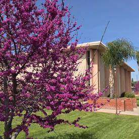 Christian Life Center, Riverside, California, United States