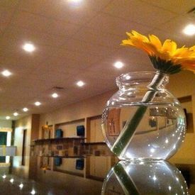 Shannon Oaks Church Of Christ, Sulphur Springs, Texas, United States
